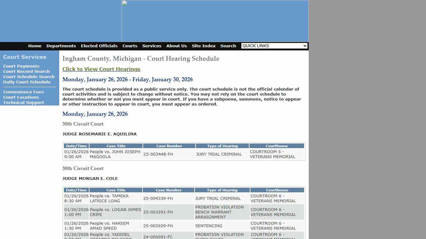 Ingham County Court Services